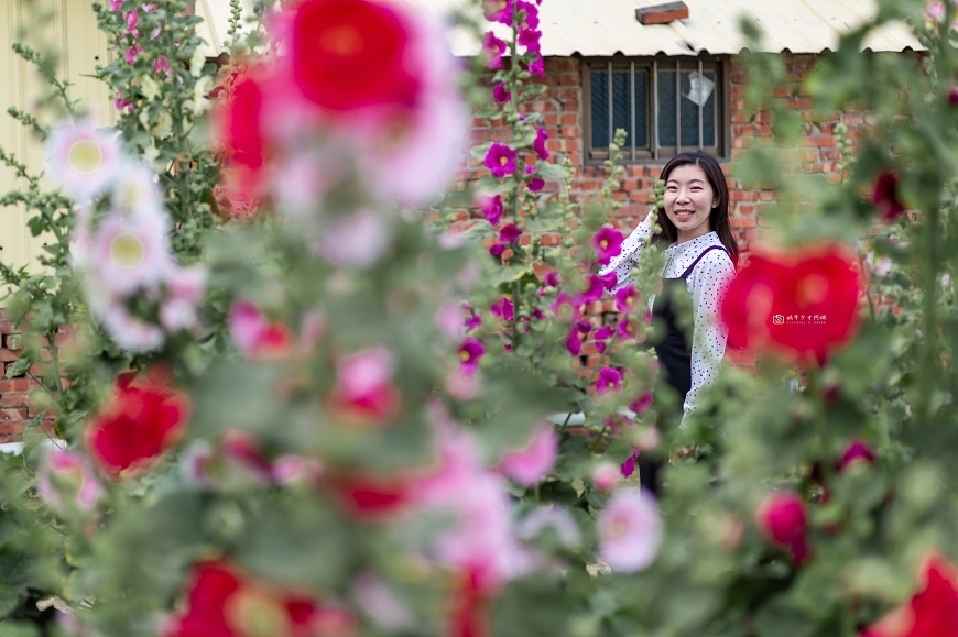 [台南活動]3萬朵白玫瑰花海環繞！！超浪漫最新美拍景點登場 @城市少女阿璇