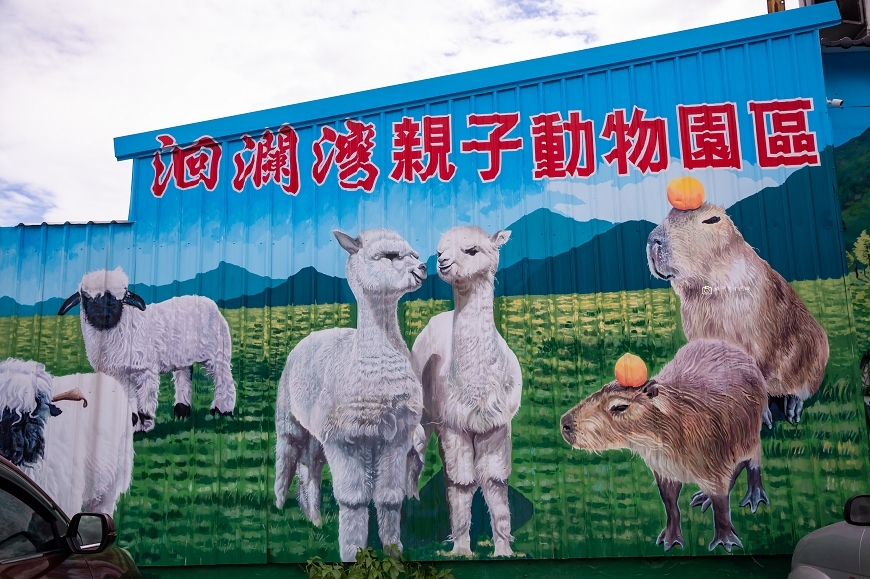 [花蓮景點]超萌水豚君出沒，還有笑笑羊跟草泥馬！可愛動物區必須推爆，水上教堂超好拍，超彭湃無菜單料理｜洄瀾灣景觀餐廳 @城市少女阿璇