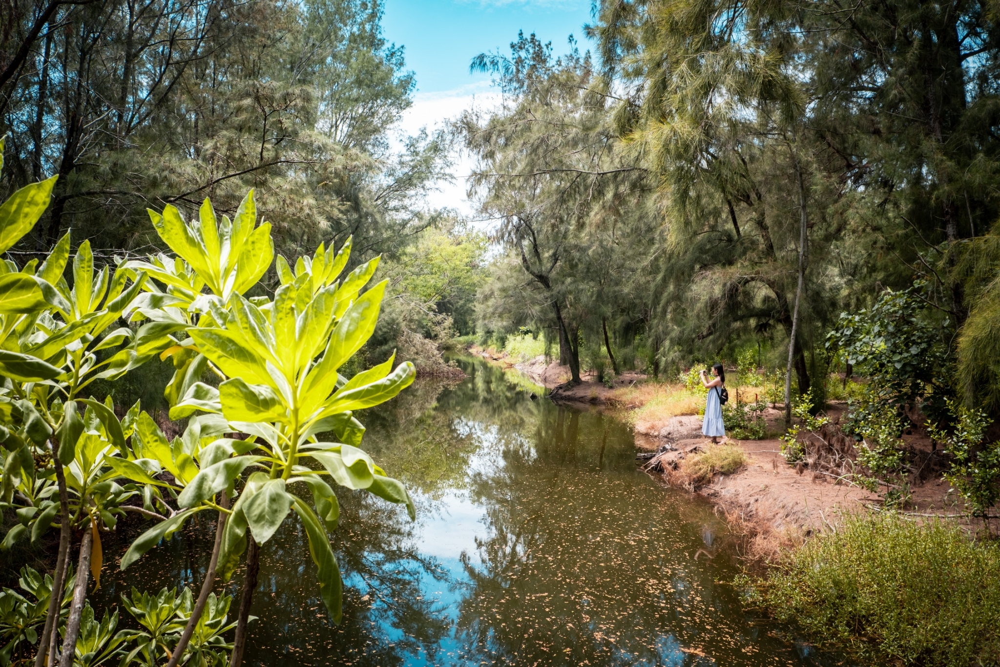 [雲嘉南旅遊]懂吃懂玩！2024沿海私房景點小旅行 最好玩的農鄉食藝2日遊 暢遊雲嘉南行程這樣排 @城市少女阿璇