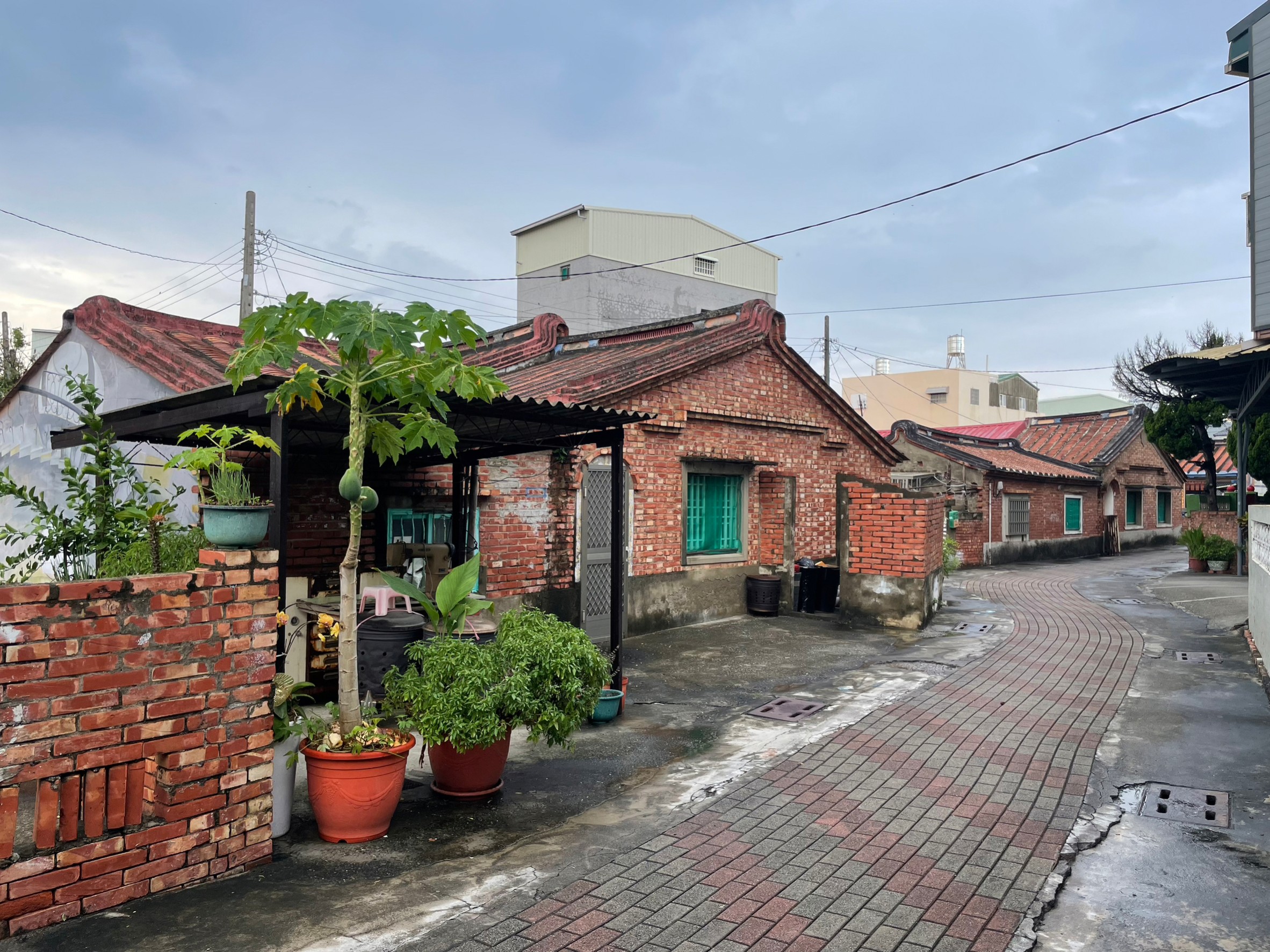 [雲嘉南旅遊]懂吃懂玩！2024沿海私房景點小旅行 最好玩的農鄉食藝2日遊 暢遊雲嘉南行程這樣排 @城市少女阿璇