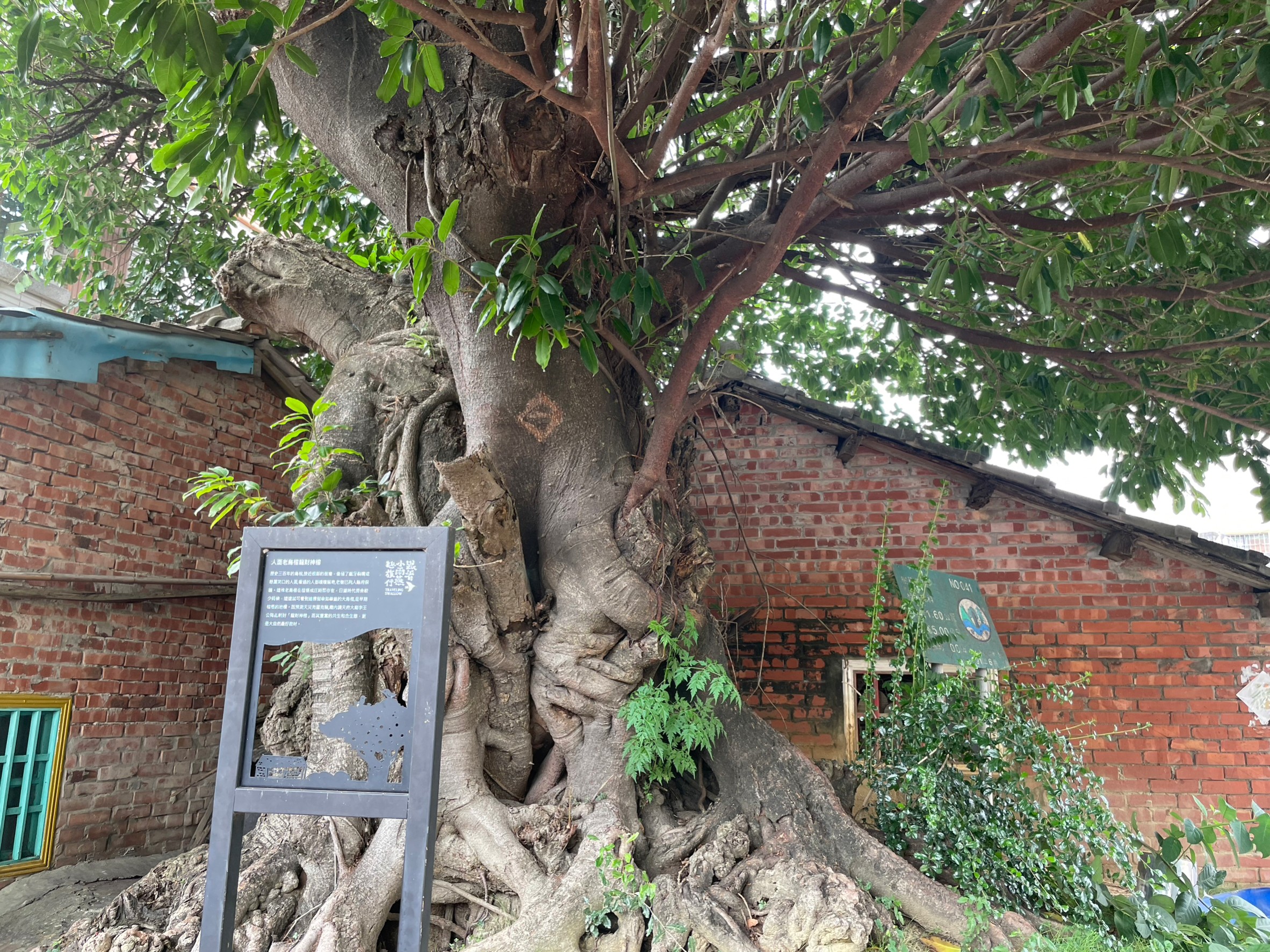 [雲嘉南旅遊]懂吃懂玩！2024沿海私房景點小旅行 最好玩的農鄉食藝2日遊 暢遊雲嘉南行程這樣排 @城市少女阿璇