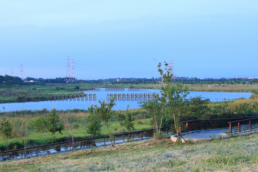 [台南景點]必追！堤坊滿版黃金雨花景，金黃阿勃勒花海夢幻美拍｜安定蘇厝河堤公園 @城市少女阿璇