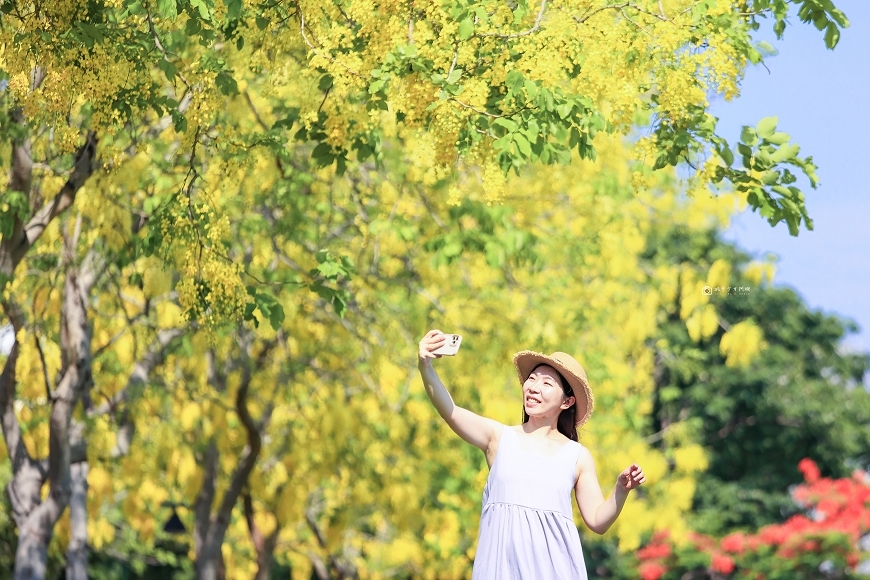 [台南景點]美翻天！被黃金花海包圍實在太浪漫了～台南阿勃勒現正滿開中｜臺南市政府永華市政中心西拉雅廣場 @城市少女阿璇