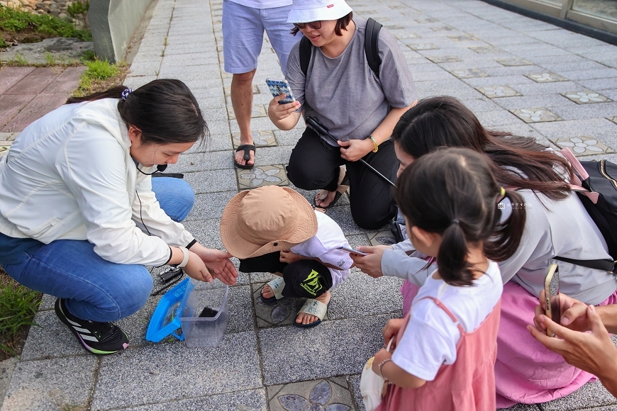 [台中住宿]全台唯一！直接住在高美濕地裡，生態系親子豪華露營，一泊二食加贈迎賓小點｜蟬說：夕陽漫漫 @城市少女阿璇