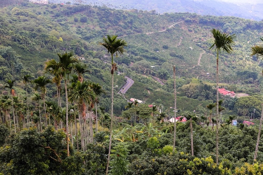 [台南景點]坐擁遼闊平原美景，175咖啡公路最高景觀咖啡廳，  喝咖啡看夕陽吃山產｜台南最高峰五隆園咖啡民宿 @城市少女阿璇