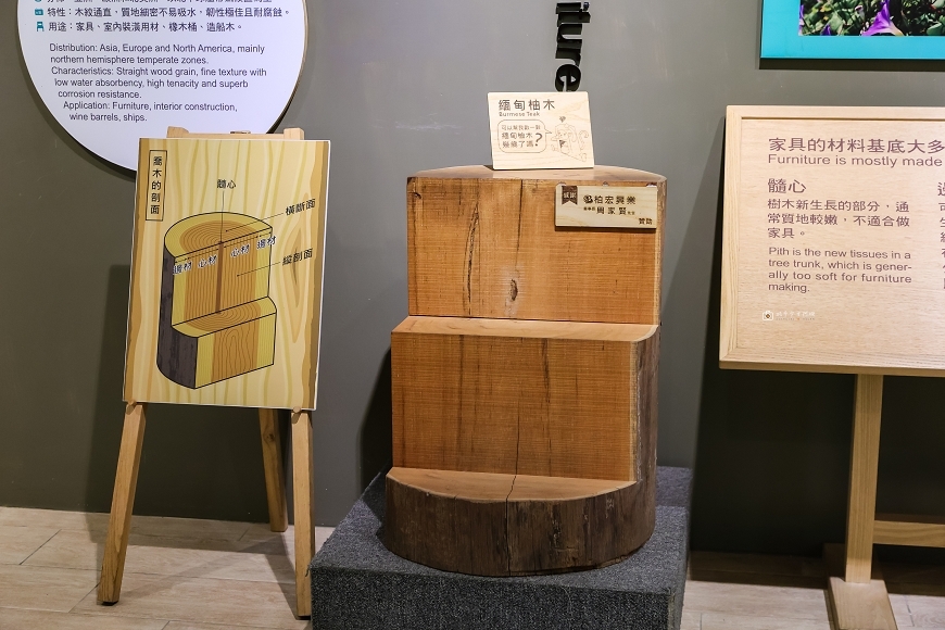 [台南景點]美雅家具觀光工廠｜白河親子景點推薦！五感認識木頭、木工DIY，大草皮放電一日遊 @城市少女阿璇