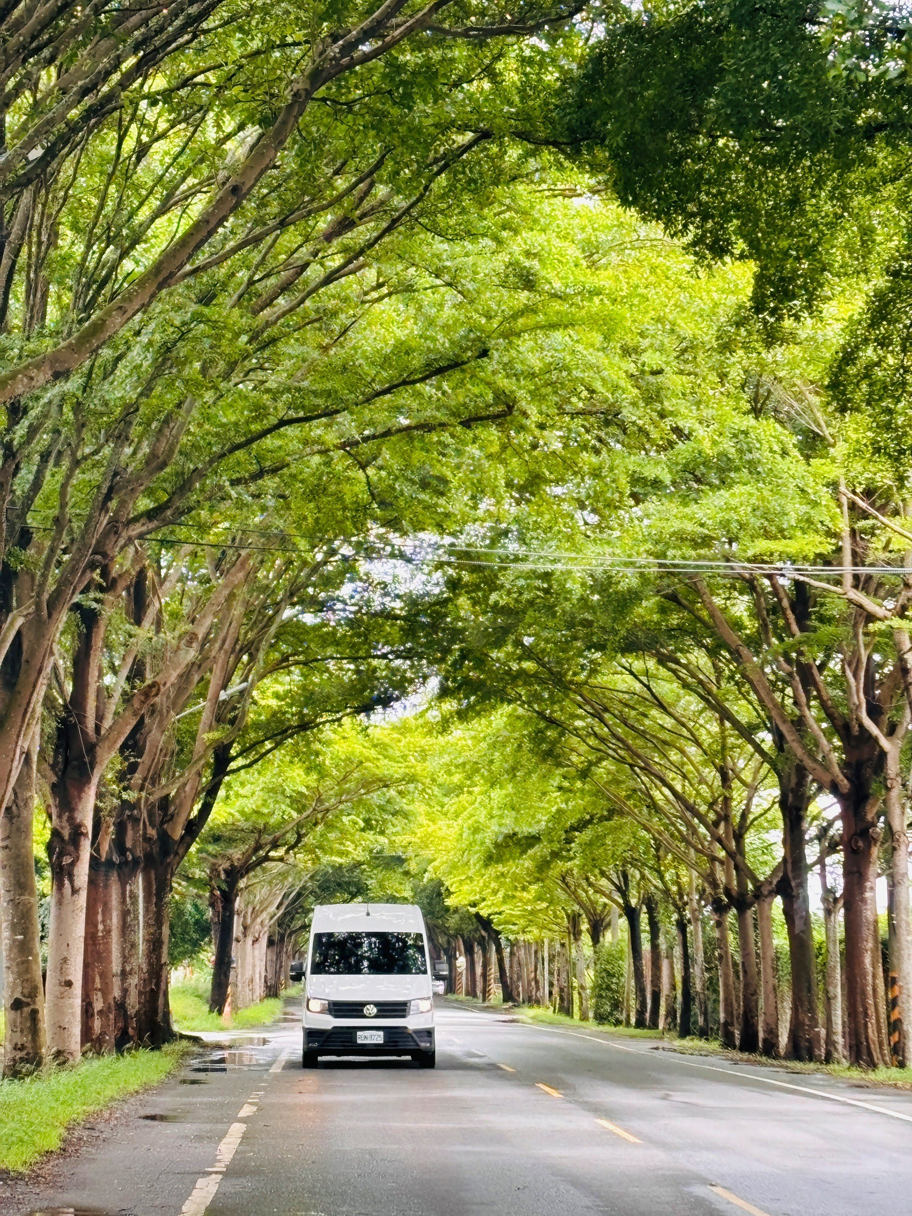 台南包車遊～安全舒適的全新車隊，包車旅遊才能真正放鬆，台灣包車推薦｜府城國際台灣包車 @城市少女阿璇