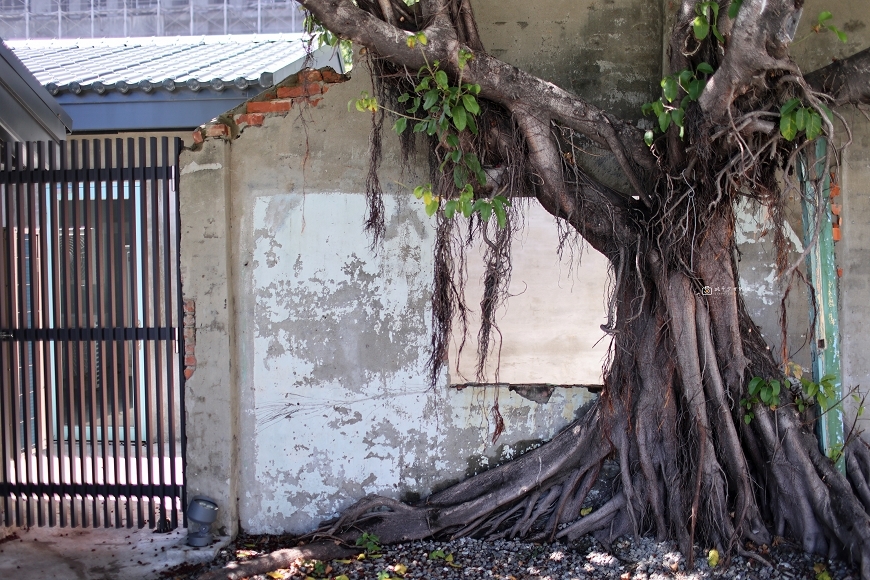 [台南景點]二空新村文化園區，台南新景點！空軍眷村大改造，復古文青風超好拍｜仁德二空新村(原二空眷村) @城市少女阿璇