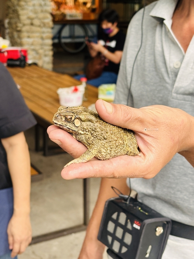 [嘉義景點]走進森林生態探索，大自然親子園區新玩法，攀岩體驗、露營車、漂漂河、窯烤披薩｜嘉義中埔築夢森居 @城市少女阿璇