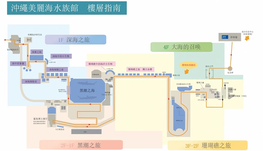 [日本旅遊]沖繩必訪景點，超大透明水槽賞鯨鯊   免費海豚表演  絕美海景   沖縄美ら海水族館｜沖繩美麗海水族館 @城市少女阿璇