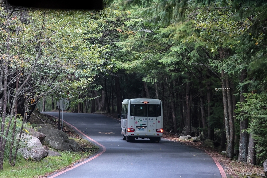 [台中住宿]度假首選！武陵富野渡假村空間質感舒適大升級，在高山吃到超澎湃美味有夠幸福，一泊二食好吃又好玩｜武陵富野渡假村 @城市少女阿璇