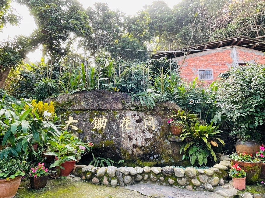 [台南旅遊]高人氣東山咖啡館，山巒美景一覽無遺，大鋤花間咖啡生態農場，東山175咖啡公路景觀餐廳推薦 @城市少女阿璇