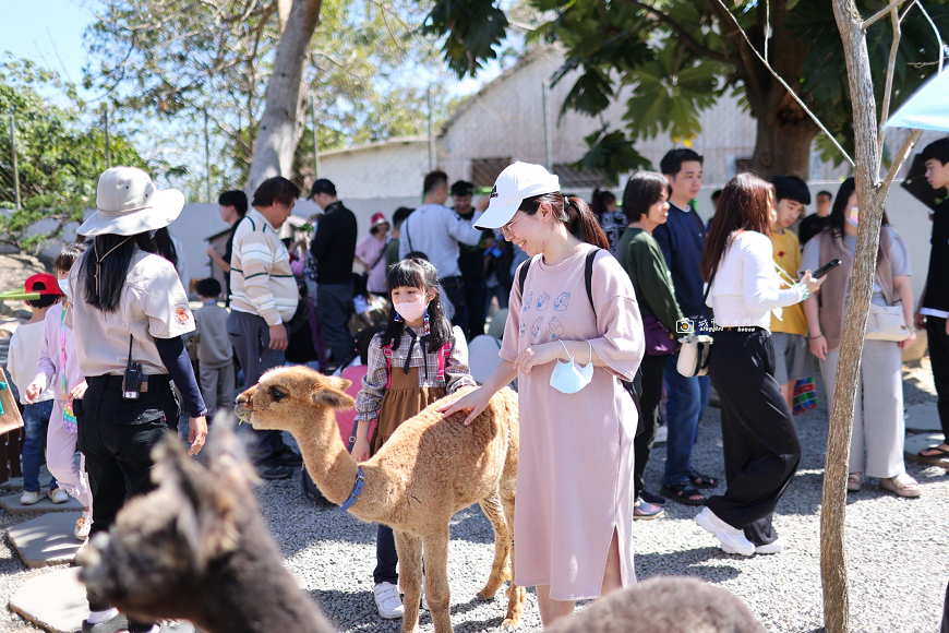 [南投餐廳] 埔里森林系餐廳，水與松萌萌園的綠意餐桌，可愛小動物療癒園區｜水與松萌萌園 x 望林餐廳 @城市少女阿璇