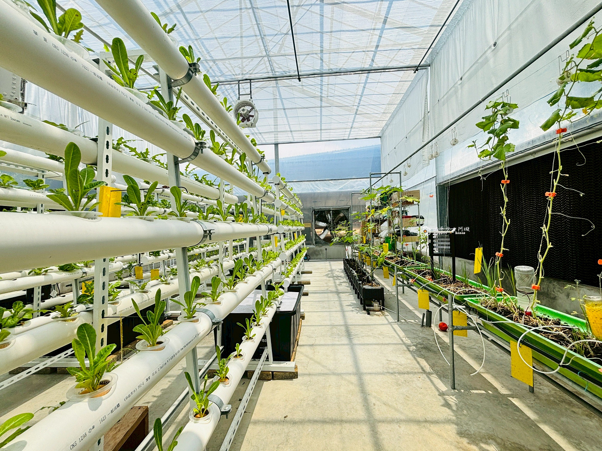 [台南美食]被植物包圍的玻璃屋餐廳，蔬菜控必訪的城市綠洲｜萬客來水耕蔬菜智慧農場 @城市少女阿璇
