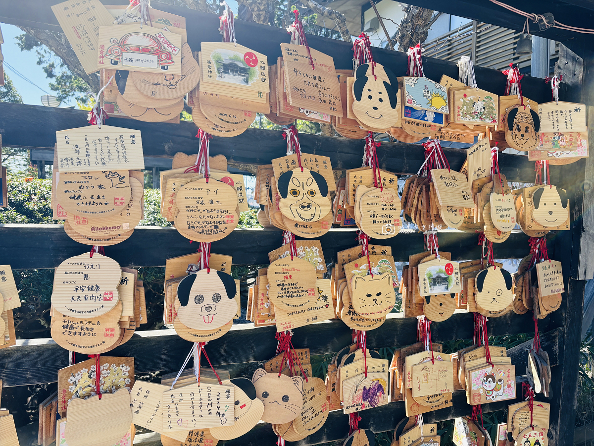 [日本旅遊] 北海道自由行推薦｜湯倉神社，神兔御守、魷魚籤詩、健康守護、寵物祈福神社 @城市少女阿璇