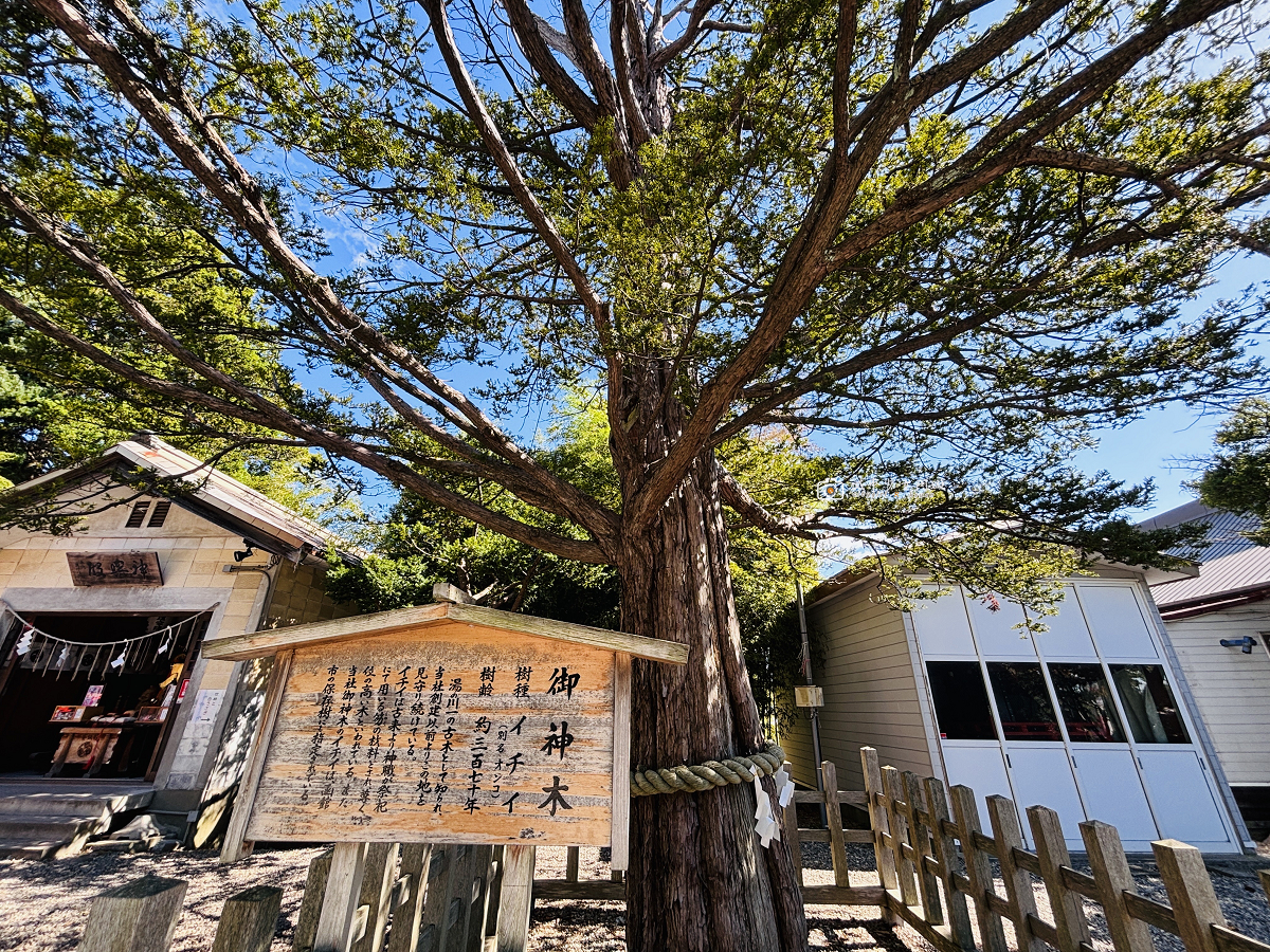 [日本旅遊] 北海道自由行推薦｜湯倉神社，神兔御守、魷魚籤詩、健康守護、寵物祈福神社 @城市少女阿璇
