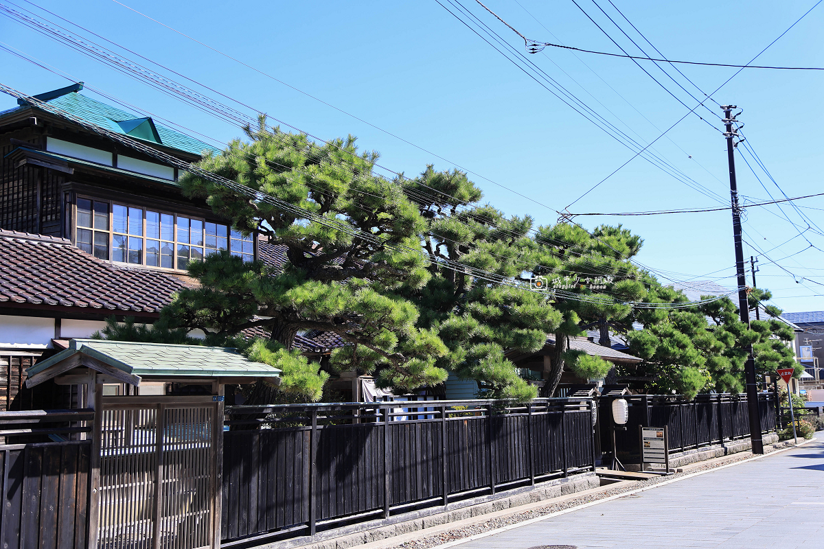 [日本旅遊]北海道自由行必訪八幡坂，函館浪漫海景坡道，散策景點推薦｜北海道函館八幡坂 @城市少女阿璇