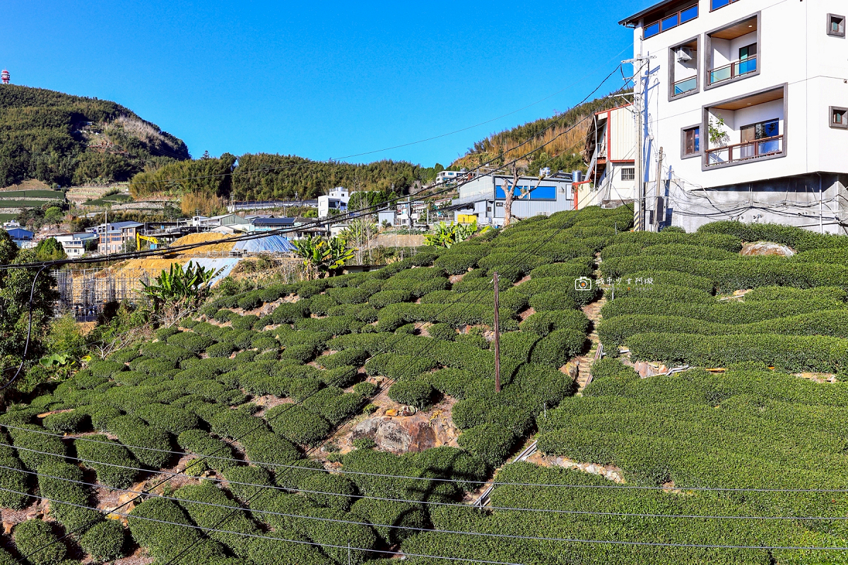 [嘉義住宿] 阿里山隙頂住宿首選，房內欣賞日出雲海、無邊際泳池、頂樓放空、奢華度假｜璦勒芬莊園民宿 @城市少女阿璇
