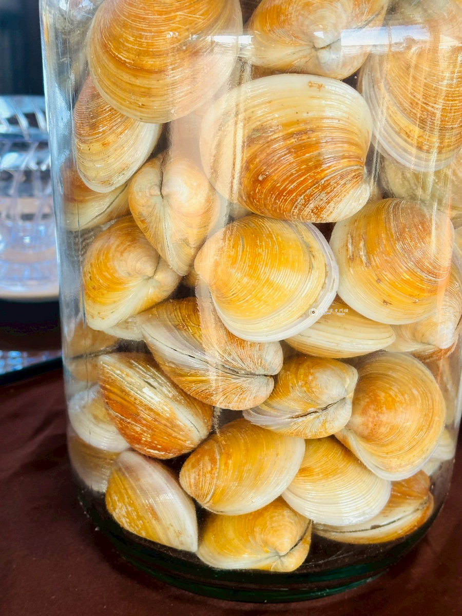 [台南美食]北門鹽田美景第一排，享受咖啡 x 西瓜綿料理｜井仔腳鹽鄉小舖  景觀咖啡新亮點 @城市少女阿璇