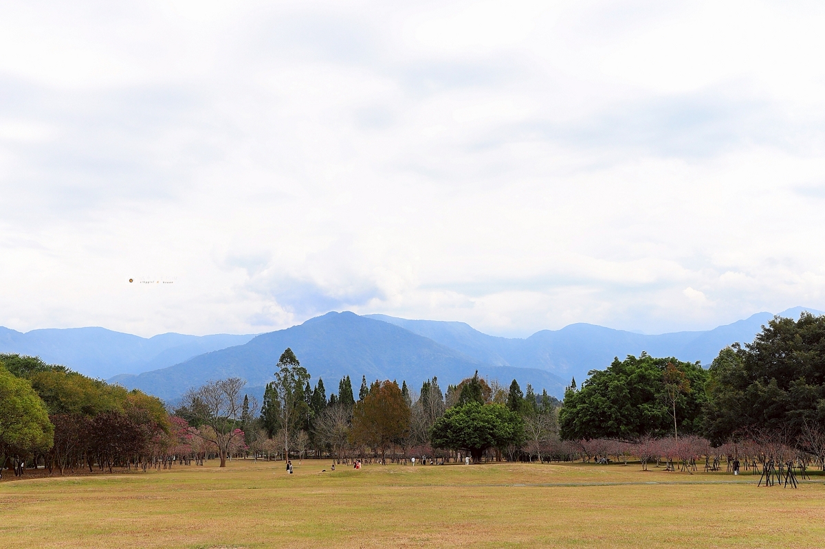[南投旅遊]搭乘台灣好行日月潭線追櫻花，南投二日遊輕鬆玩，日月潭順遊景點推薦 @城市少女阿璇