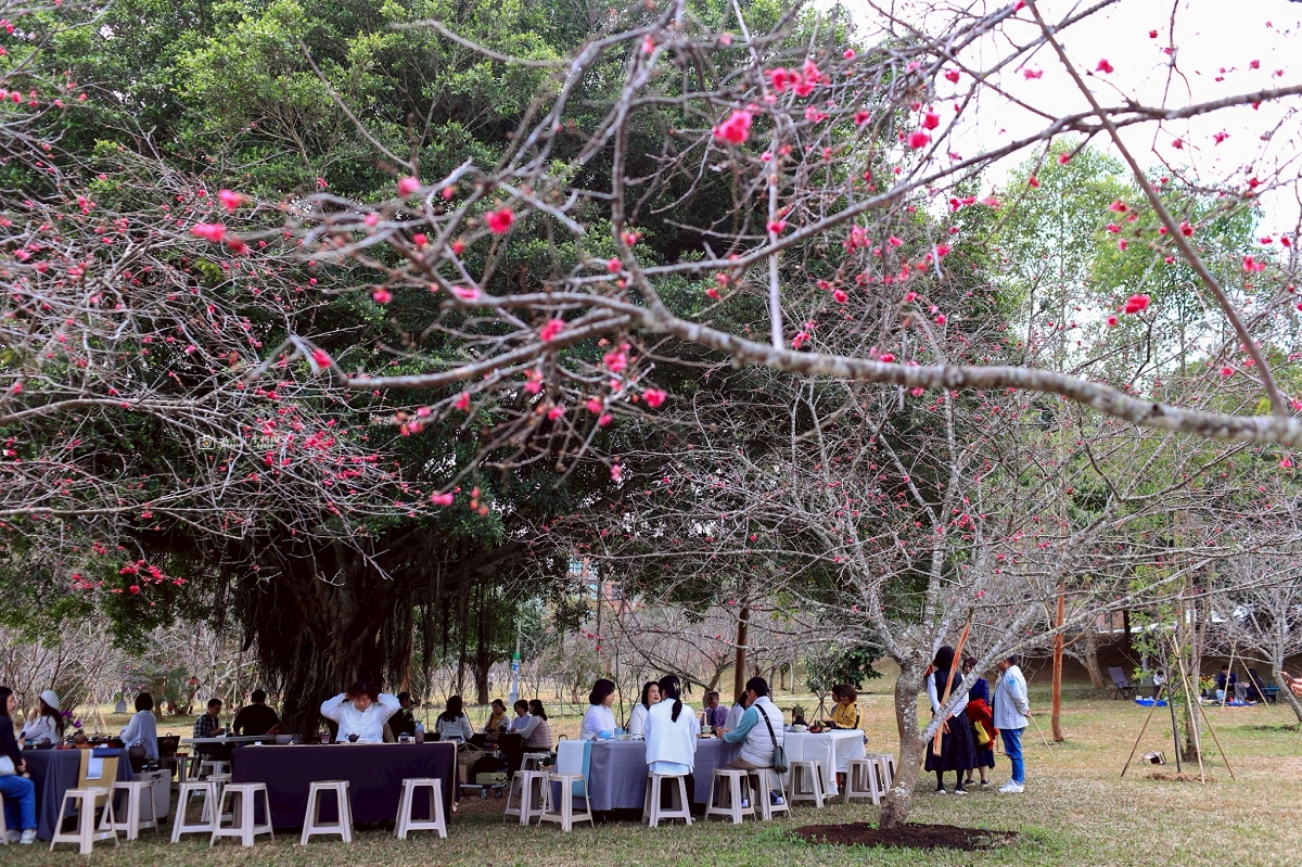 [南投旅遊]搭乘台灣好行日月潭線追櫻花，南投二日遊輕鬆玩，日月潭順遊景點推薦 @城市少女阿璇