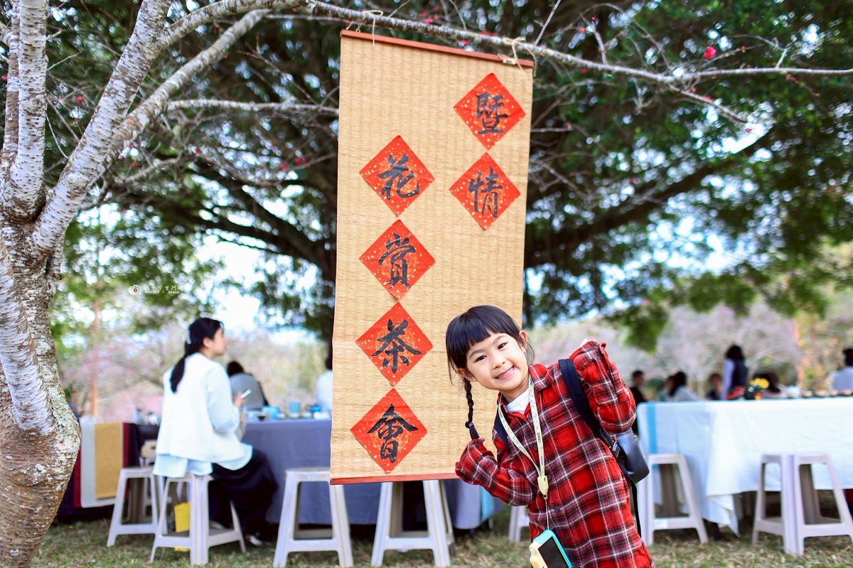 [南投旅遊]搭乘台灣好行日月潭線追櫻花，南投二日遊輕鬆玩，日月潭順遊景點推薦 @城市少女阿璇