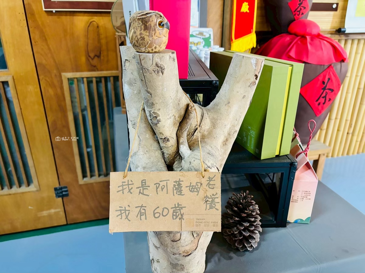 [南投景點]揉茶、採茶親子DIY+必買紅茶伴手禮，體驗日月潭紅茶的魅力，親子、團體旅遊都推薦｜日月潭東峰紅茶莊園 @城市少女阿璇