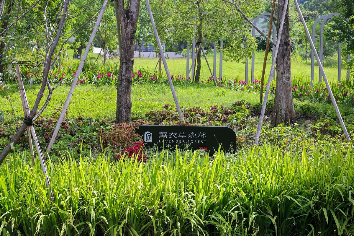 [南投景點]九九峰氦氣球樂園開箱！全台首座繫留式氦氣球、薰衣草森林園區、森彥咖啡、香草餐廳一日遊 @城市少女阿璇