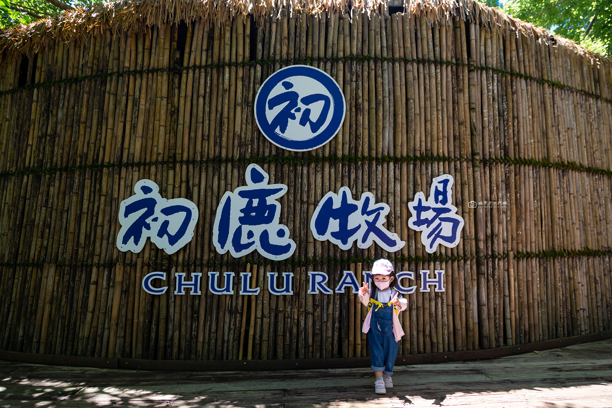 [台東景點]初鹿牧場｜台東經典親子景點！餵動物、逛大草原、鮮乳冰淇淋必吃 @城市少女阿璇