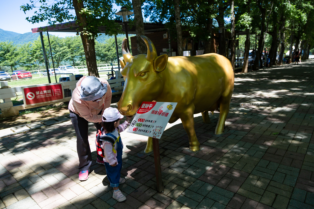 [台東景點]初鹿牧場｜台東經典親子景點！餵動物、逛大草原、鮮乳冰淇淋必吃 @城市少女阿璇