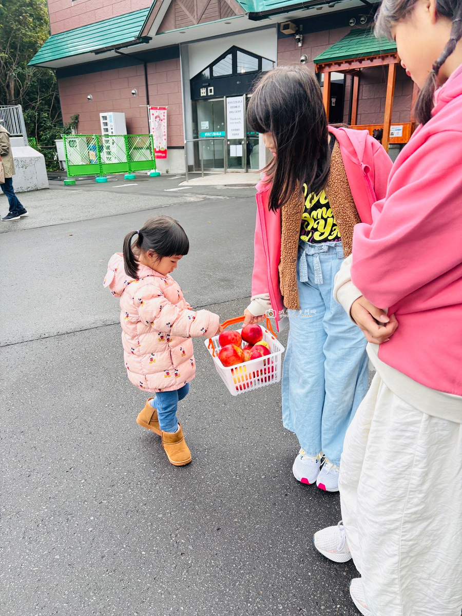[日本旅遊] 北海道自由行推薦｜昭和新山熊牧場！買蘋果近距離餵熊，北海道親子景點 @城市少女阿璇