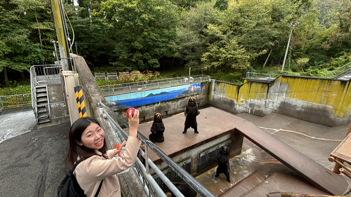 [日本旅遊] 北海道自由行推薦｜昭和新山熊牧場！買蘋果近距離餵熊，北海道親子景點 @城市少女阿璇