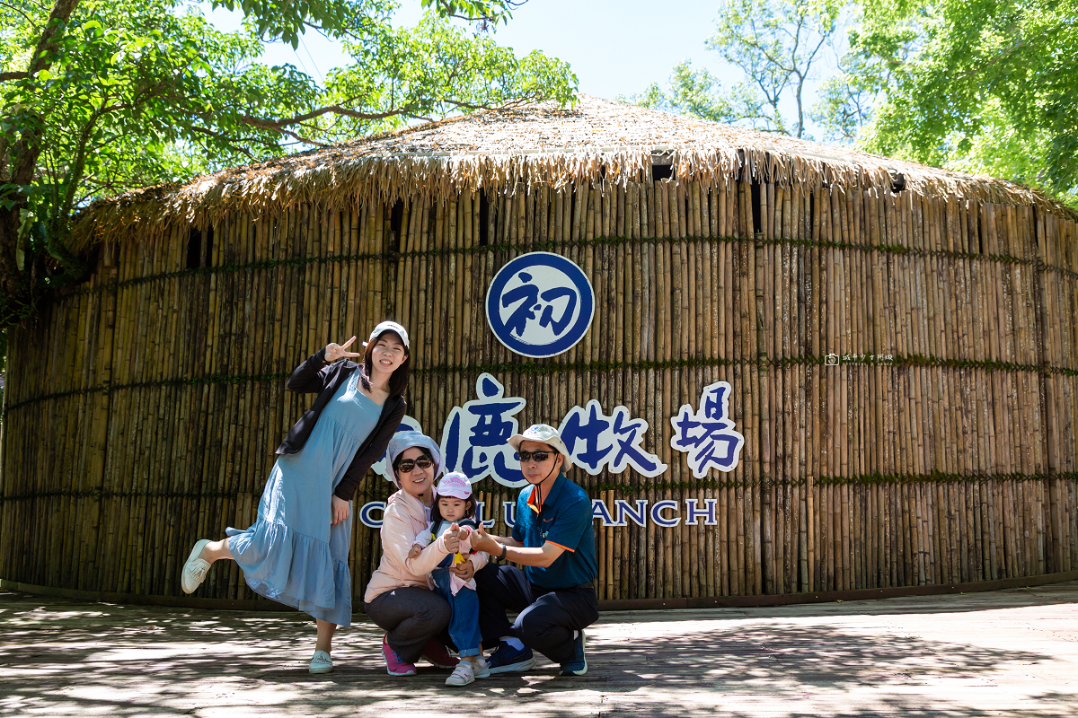 [台東景點]初鹿牧場｜台東經典親子景點！餵動物、逛大草原、鮮乳冰淇淋必吃 @城市少女阿璇