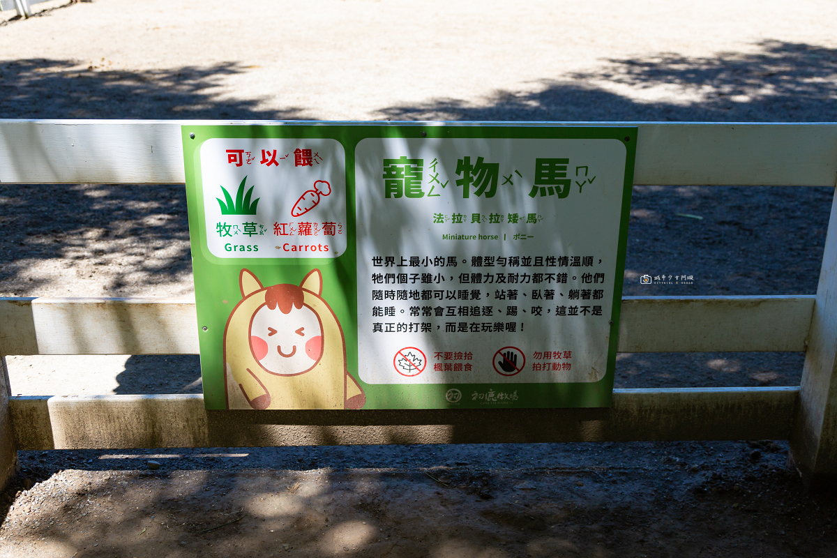 [台東景點]初鹿牧場｜台東經典親子景點！餵動物、逛大草原、鮮乳冰淇淋必吃 @城市少女阿璇