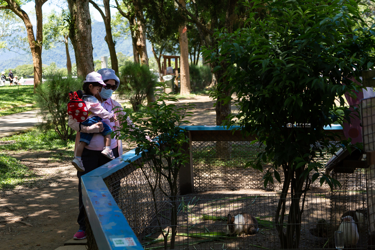 [台東景點]初鹿牧場｜台東經典親子景點！餵動物、逛大草原、鮮乳冰淇淋必吃 @城市少女阿璇