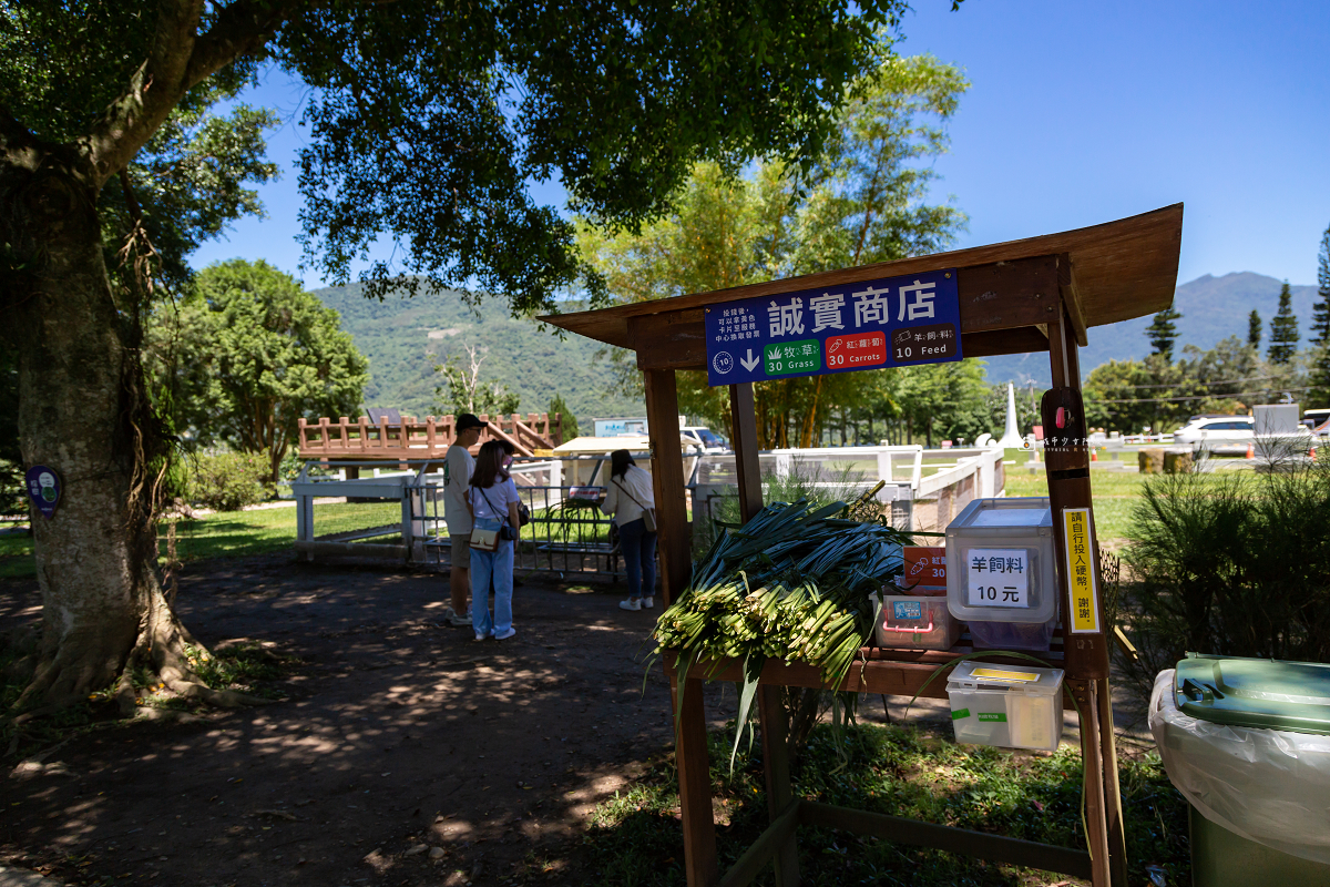 [台東景點]初鹿牧場｜台東經典親子景點！餵動物、逛大草原、鮮乳冰淇淋必吃 @城市少女阿璇