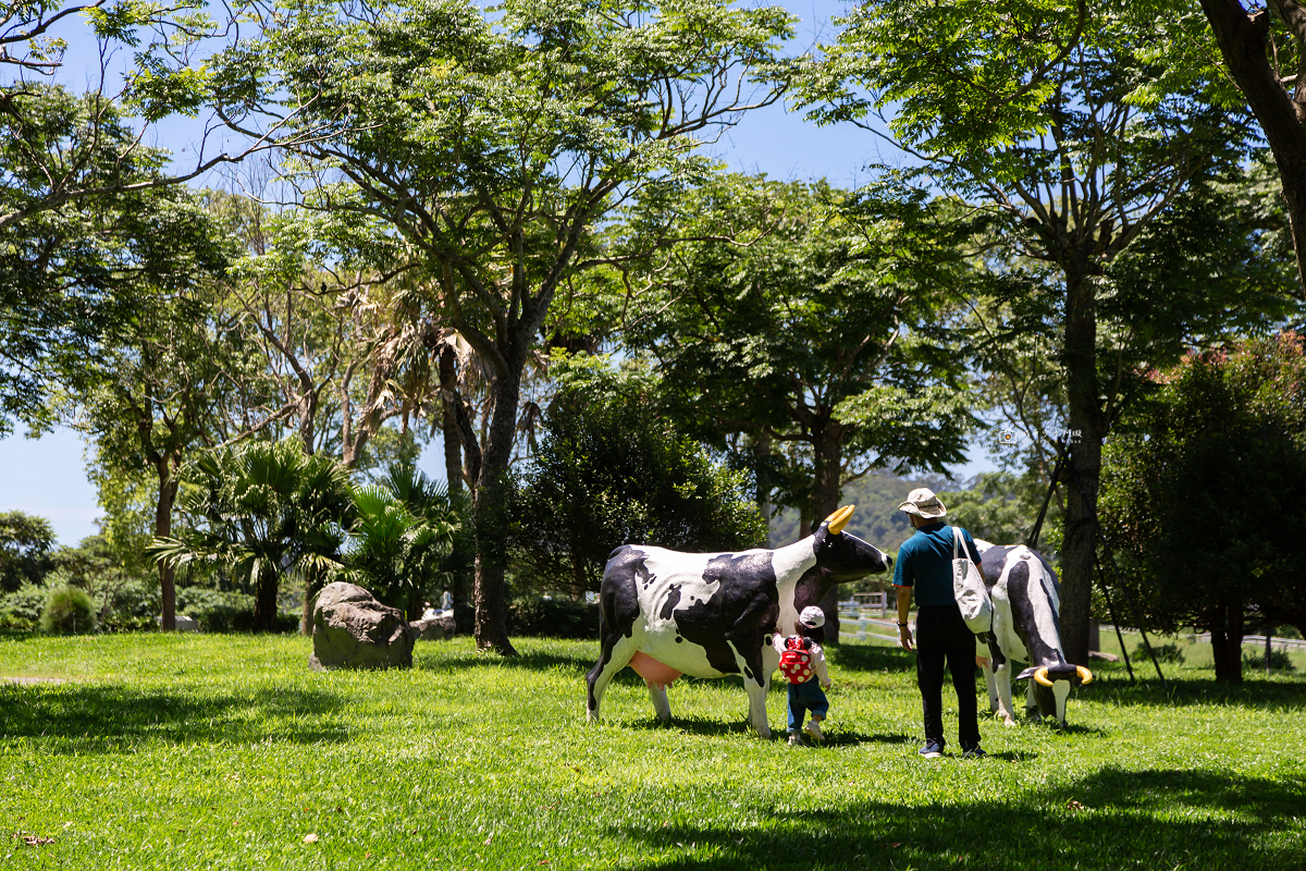 [台東景點]初鹿牧場｜台東經典親子景點！餵動物、逛大草原、鮮乳冰淇淋必吃 @城市少女阿璇