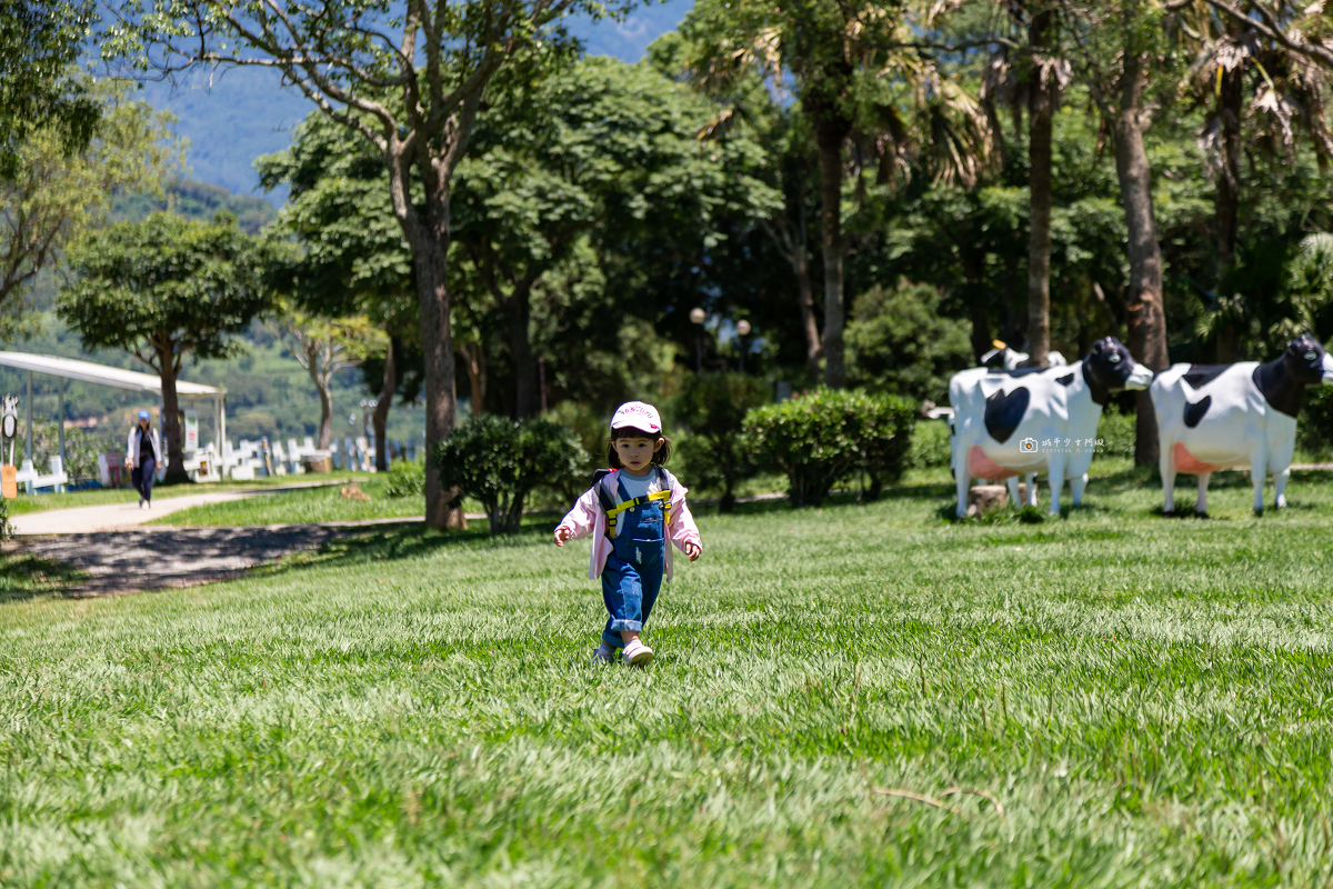 [台東景點]初鹿牧場｜台東經典親子景點！餵動物、逛大草原、鮮乳冰淇淋必吃 @城市少女阿璇