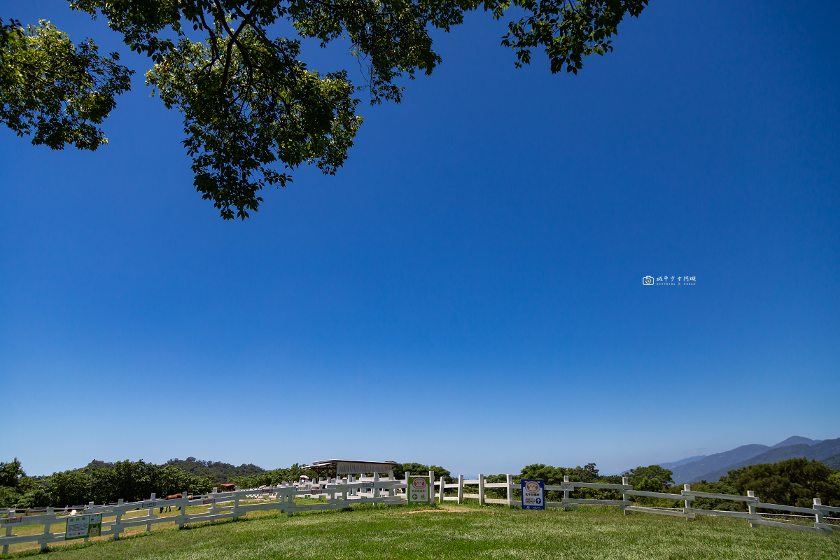[台東景點]初鹿牧場｜台東經典親子景點！餵動物、逛大草原、鮮乳冰淇淋必吃 @城市少女阿璇