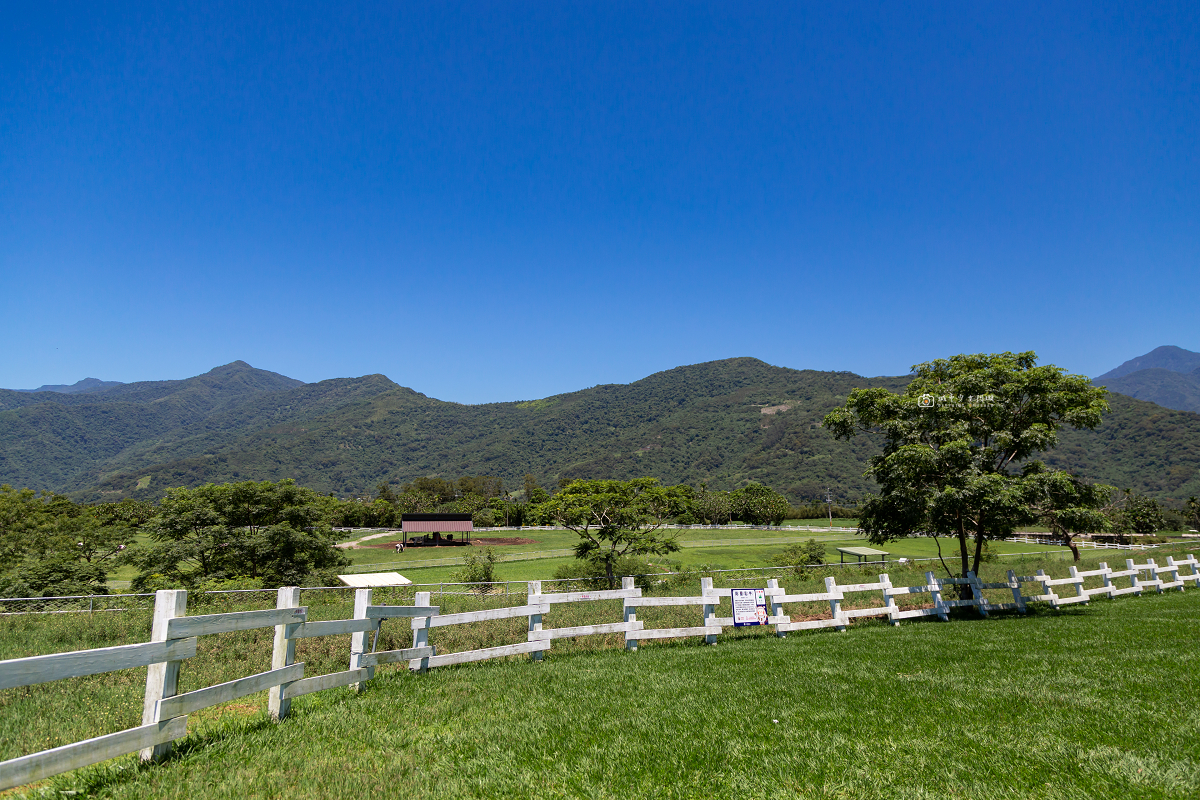 [台東景點]初鹿牧場｜台東經典親子景點！餵動物、逛大草原、鮮乳冰淇淋必吃 @城市少女阿璇
