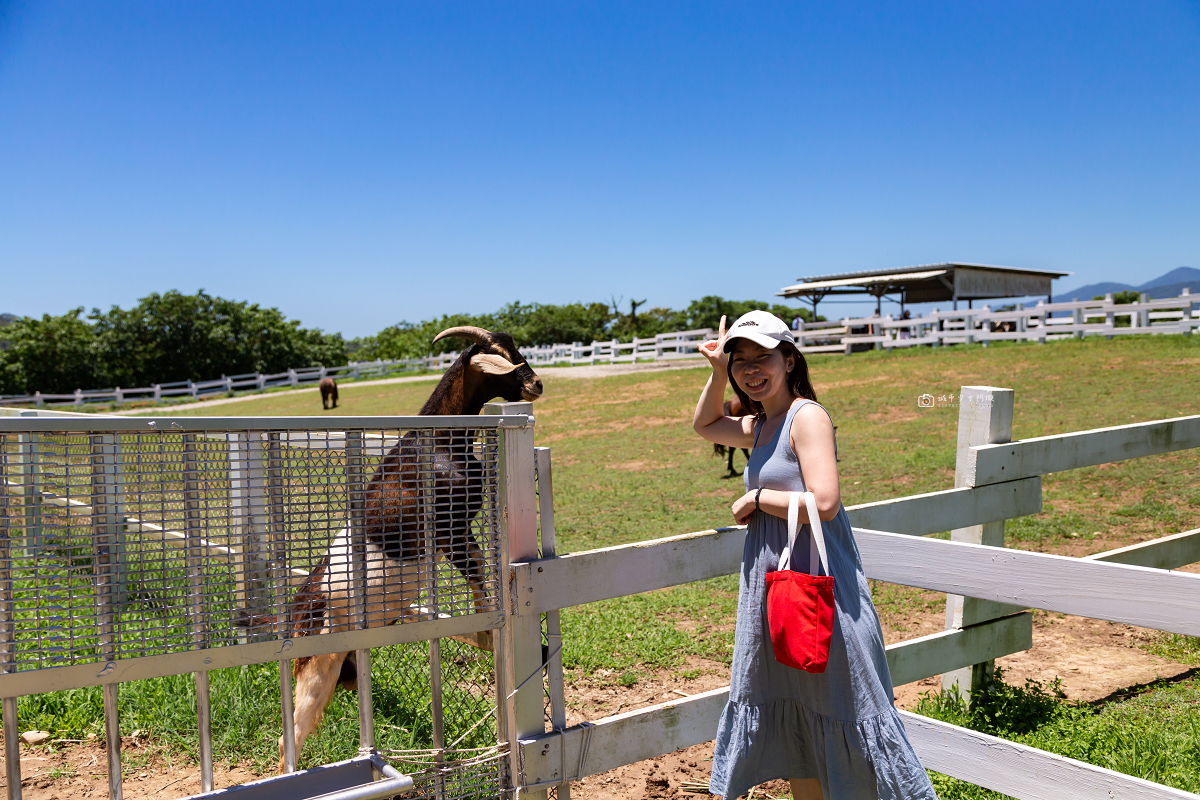 [台東景點]初鹿牧場｜台東經典親子景點！餵動物、逛大草原、鮮乳冰淇淋必吃 @城市少女阿璇