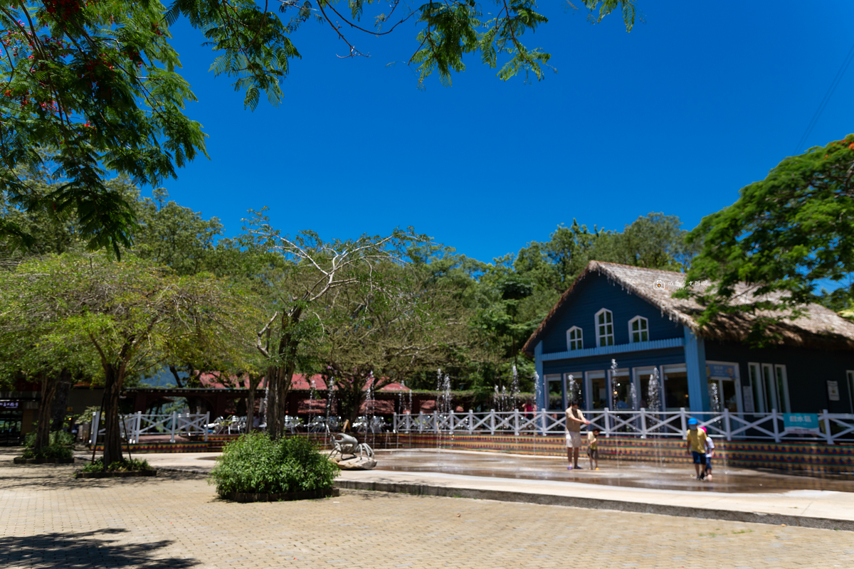 [台東景點]初鹿牧場｜台東經典親子景點！餵動物、逛大草原、鮮乳冰淇淋必吃 @城市少女阿璇