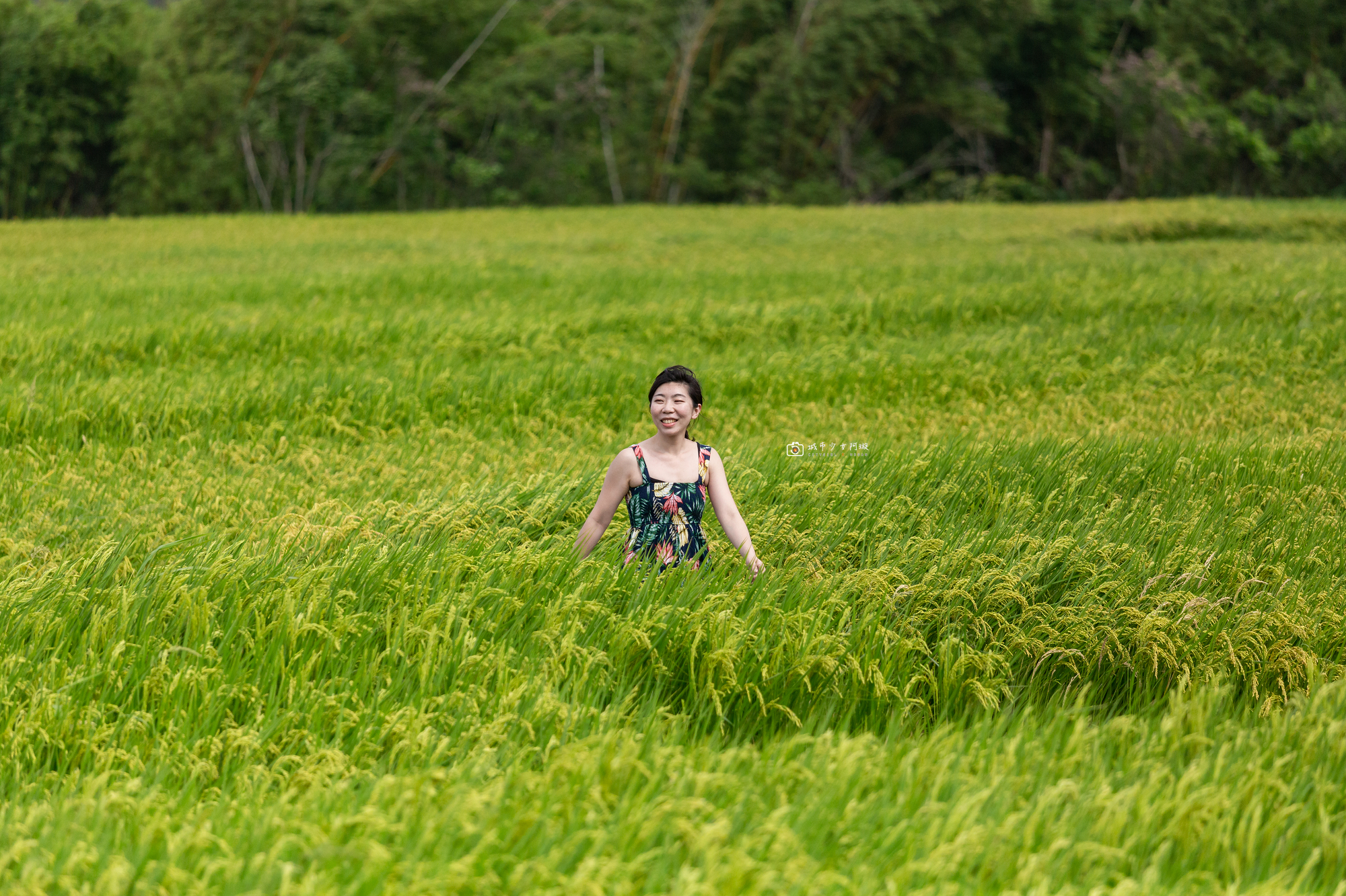 [台東景點]長濱金剛大道，台11線最療癒的筆直稻田，花東旅遊必停景點 @城市少女阿璇