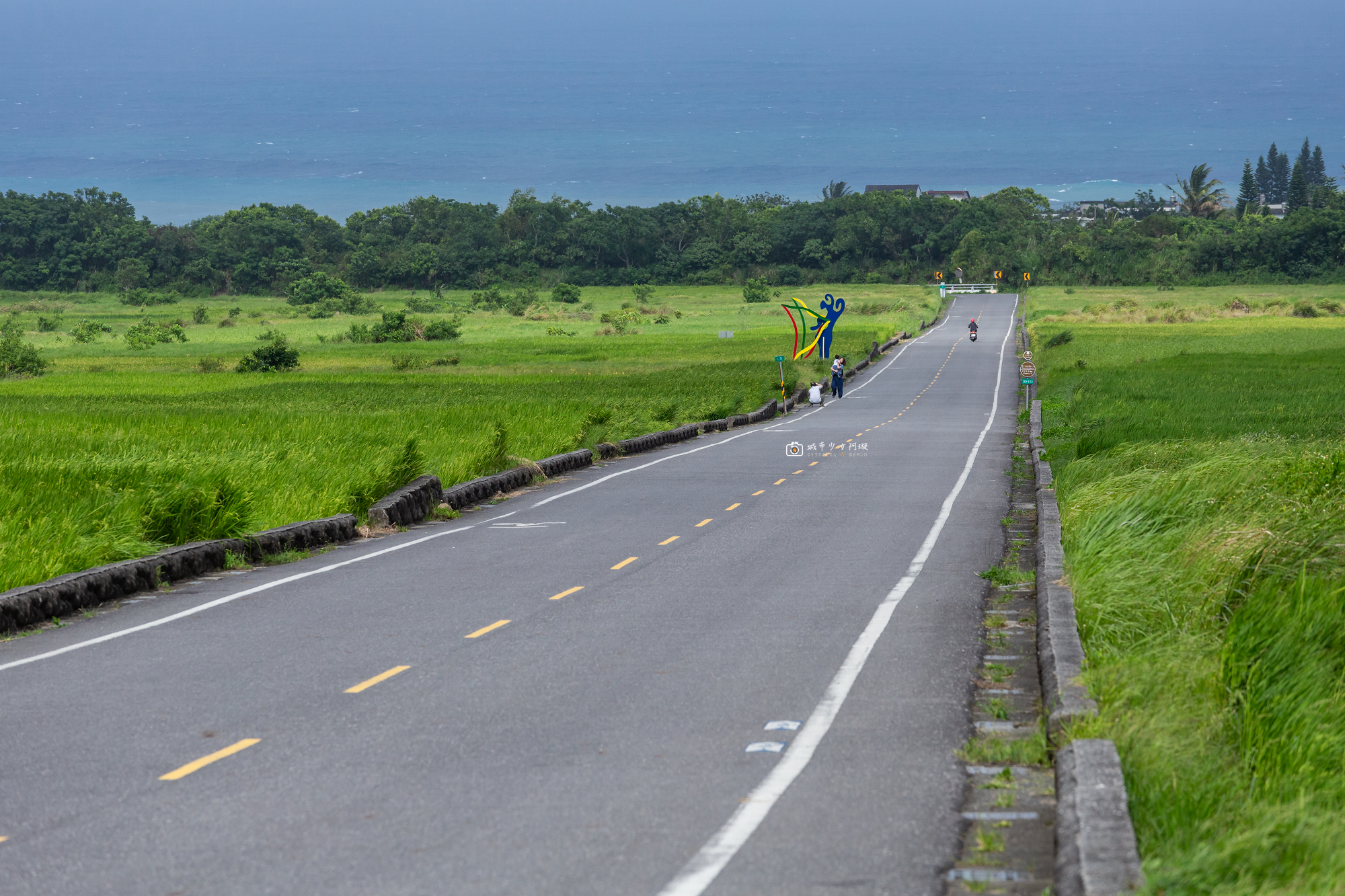 [台東景點]長濱金剛大道，台11線最療癒的筆直稻田，花東旅遊必停景點 @城市少女阿璇
