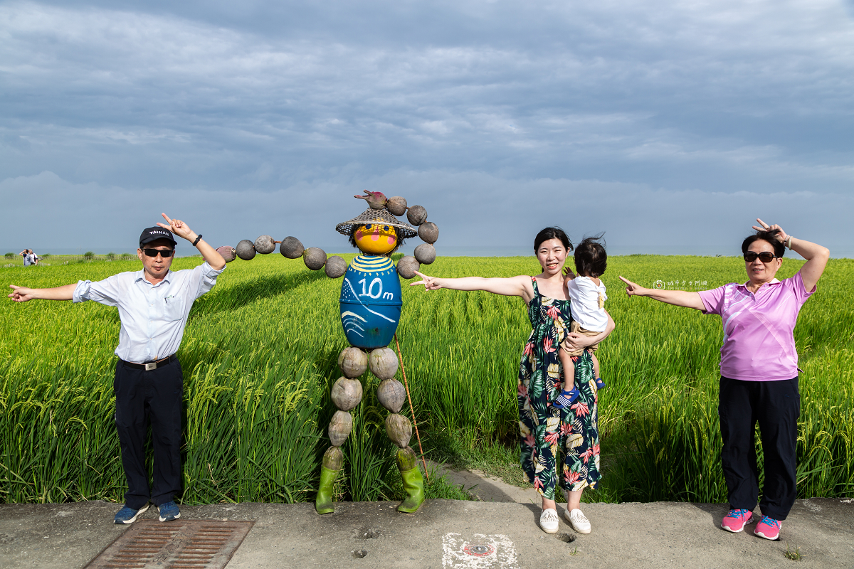 [花蓮景點]新社梯田｜花東海線順遊景點！層層稻田一路延伸太平洋，山海相依的海梯田 @城市少女阿璇