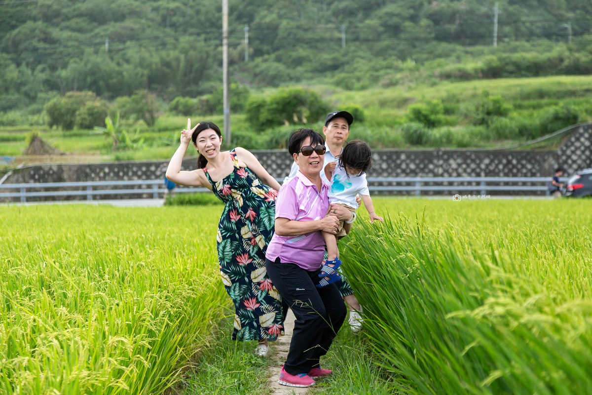 [花蓮景點]新社梯田｜花東海線順遊景點！層層稻田一路延伸太平洋，山海相依的海梯田 @城市少女阿璇