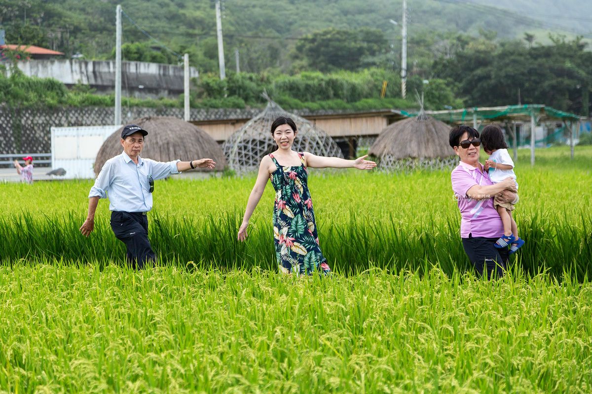 [花蓮景點]新社梯田｜花東海線順遊景點！層層稻田一路延伸太平洋，山海相依的海梯田 @城市少女阿璇