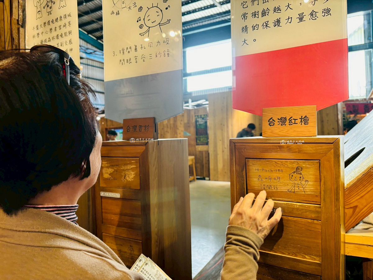 [嘉義景點]愛木村休閒觀光工廠｜嘉義親子景點推薦，五感認識木頭、互動遊戲、木製玩具一次玩 @城市少女阿璇