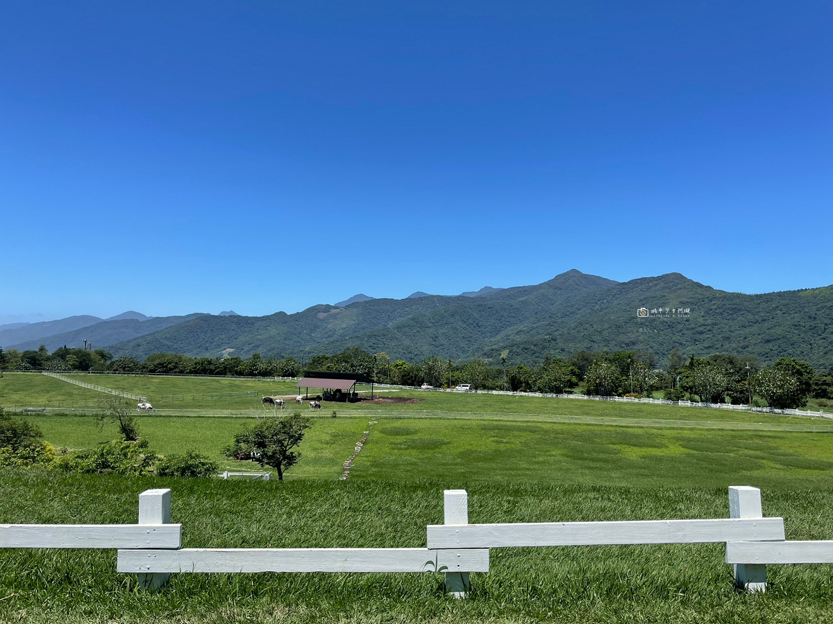 [台東景點]初鹿牧場｜台東經典親子景點！餵動物、逛大草原、鮮乳冰淇淋必吃 @城市少女阿璇