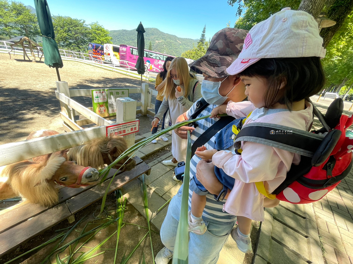 [台東景點]初鹿牧場｜台東經典親子景點！餵動物、逛大草原、鮮乳冰淇淋必吃 @城市少女阿璇